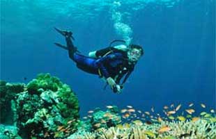 Diving