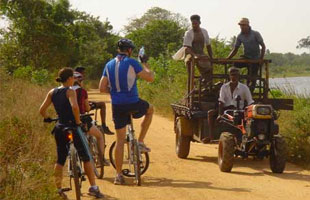 Mountain Bikes
