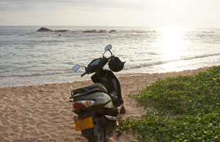 Motor Bikes